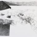 IMG 2423 IMG 2423